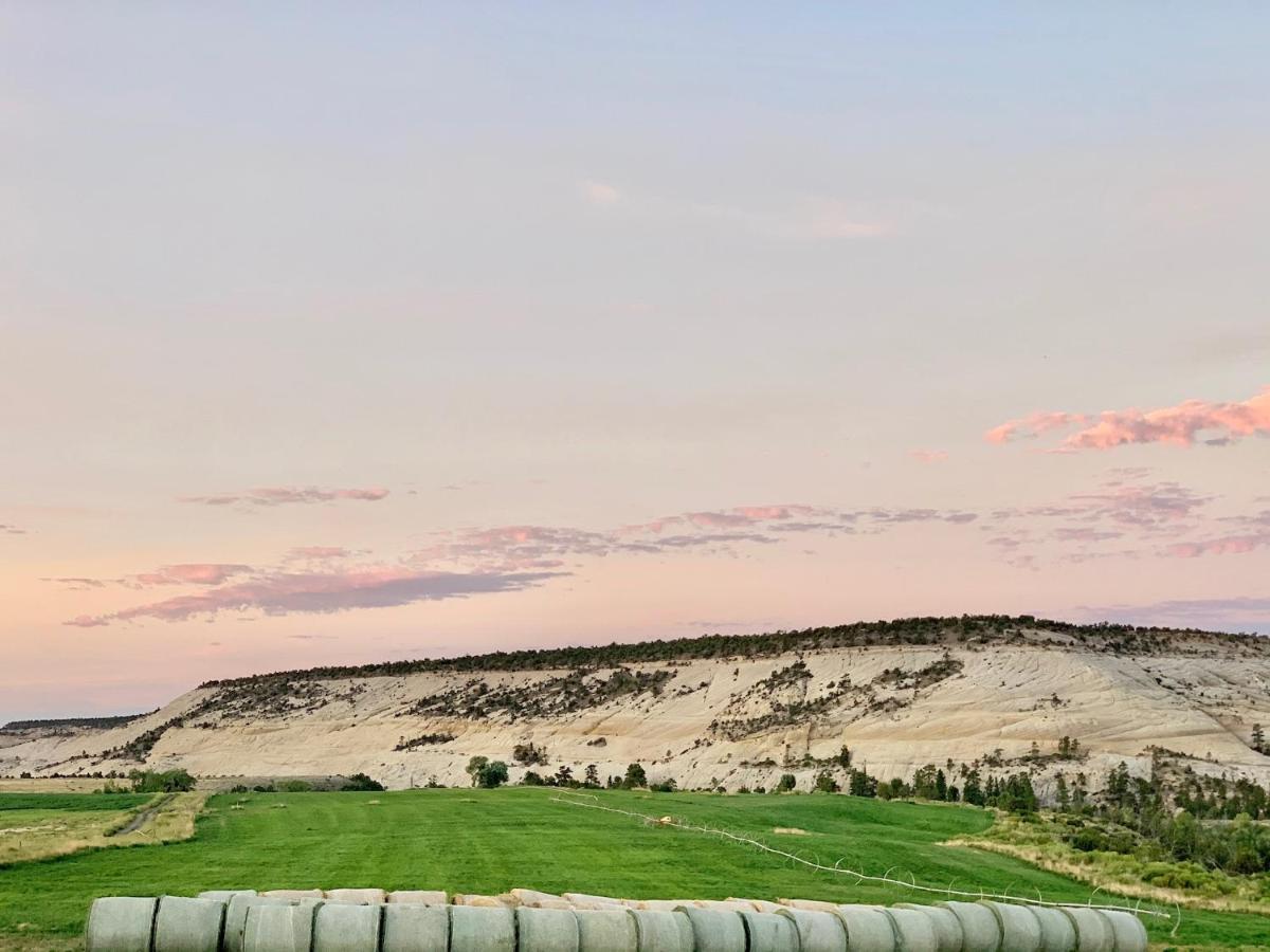 بولدر تاون Annie'S Place Bed & Breakfast المظهر الخارجي الصورة